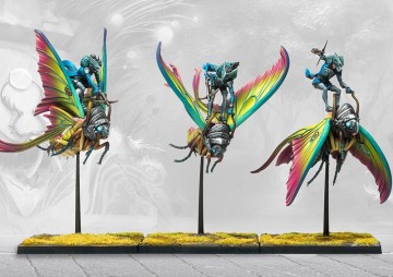 Ciannir riders dual kit weaver courts 1