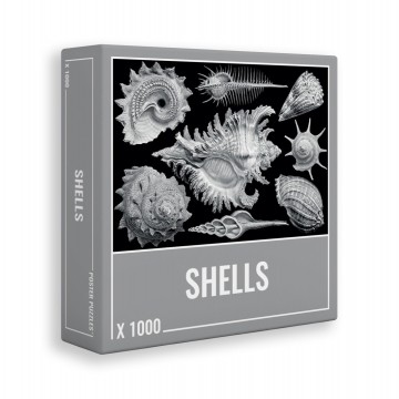 Clo 330078 1 shells