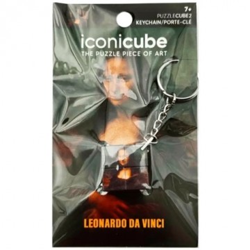 Iconicube   leonardo da vinci   pc2k mox spellen