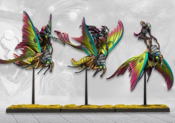 Sciathan riders dual kit weaver courts 1