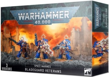 Space marines bladeguard veterans
