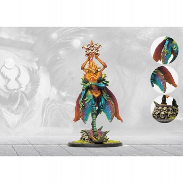 Weaver courts   oberon consort of summer 2